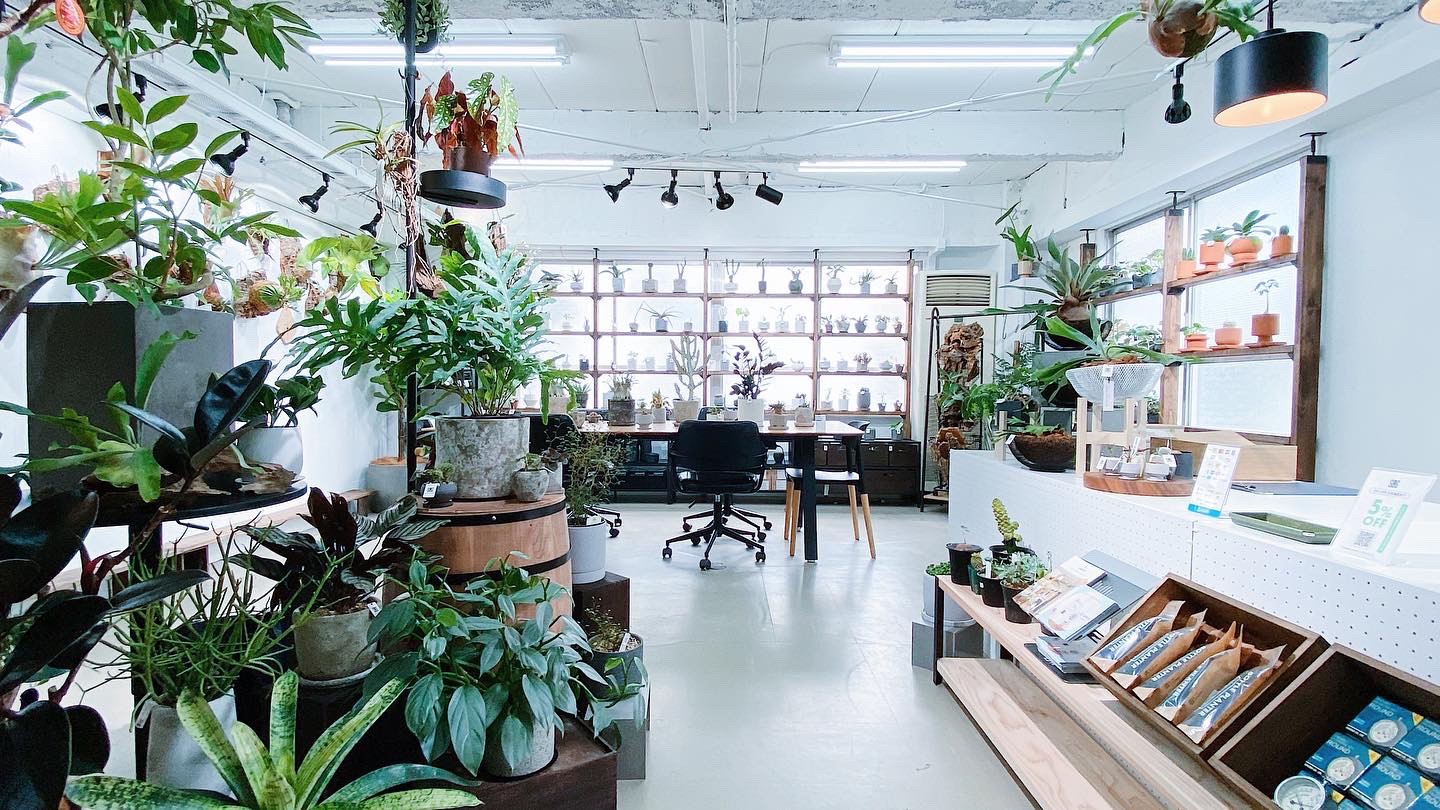 STAND BY GREENがリニューアル！隔週日曜日は代々木店舗もオープン！