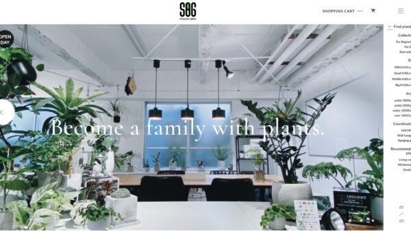 代々木オフィスにて観葉植物サービス「STAND BY GREEN」を開始致しました。