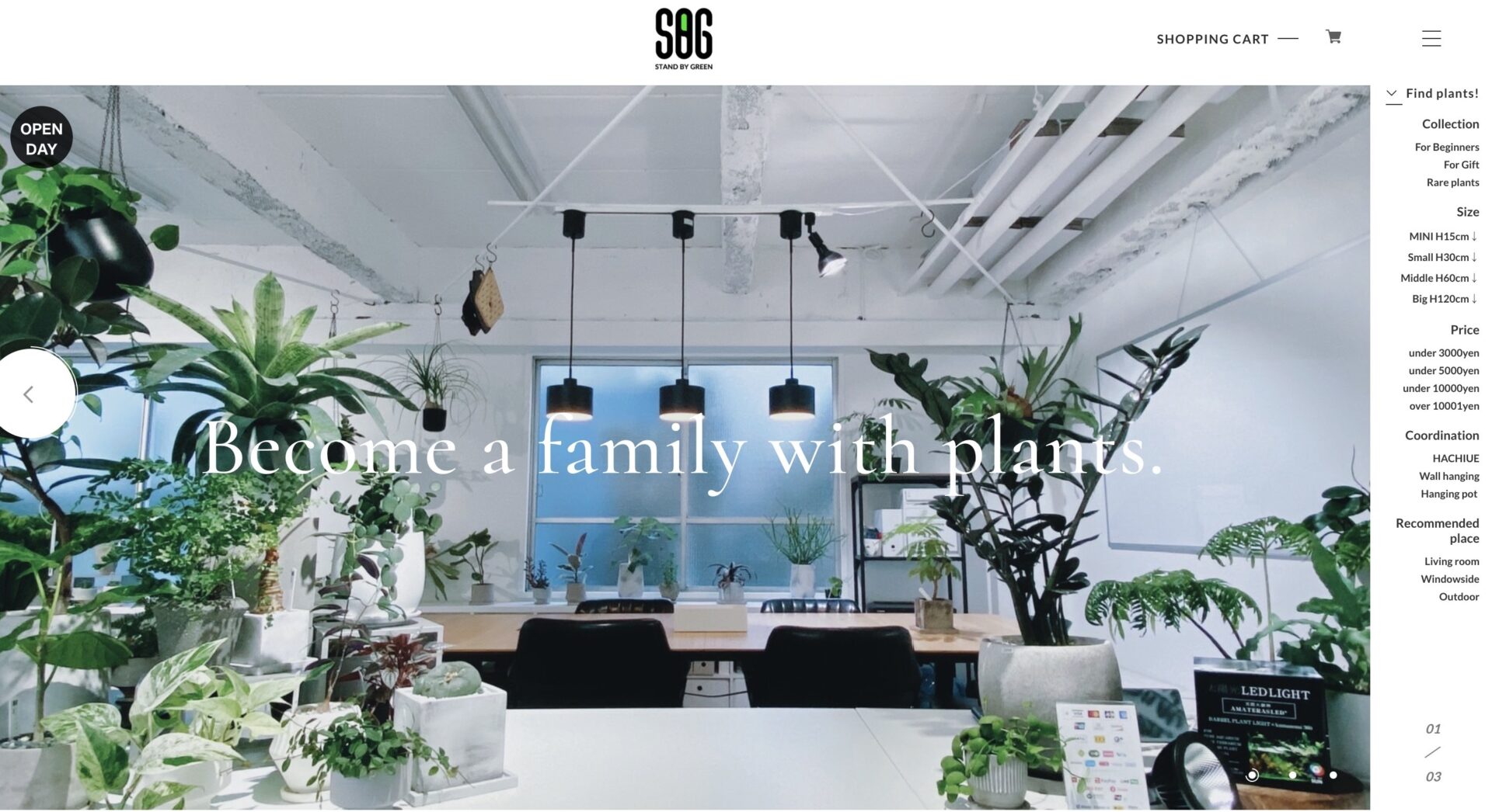 代々木オフィスにて観葉植物サービス「STAND BY GREEN」を開始致しました。